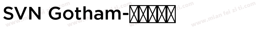 SVN Gotham字体转换